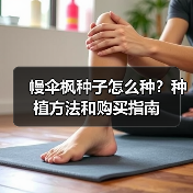 幔伞枫种子怎么种?种植方法和购买指南(图3) 幔伞枫种子怎么种?种植方法和购买指南(图3)