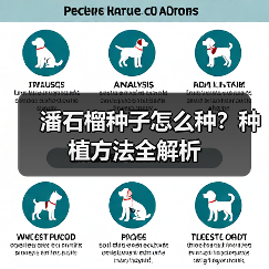 潘石榴种子怎么种？种植方法全解析（图1）