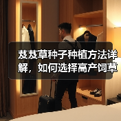芨芨草种子种植方法详解，如何选择高产饲草？（图1）