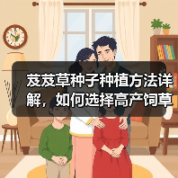 芨芨草种子种植方法详解，如何选择高产饲草？（图4）