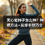黑心菊种子怎么种？种植方法+发芽率技巧全解析（图1）