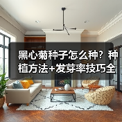 黑心菊种子怎么种？种植方法+发芽率技巧全解析（图2）
