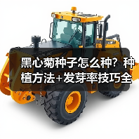 黑心菊种子怎么种?种植方法+发芽率技巧全解析(图3) 黑心菊种子怎么种?种植方法+发芽率技巧全解析(图3)