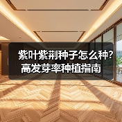 紫叶紫荆种子怎么种？高发芽率种植指南（图1）