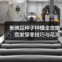香豌豆种子种植全攻略：高发芽率技巧与花海打造方法（图2）
