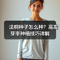 法桐种子怎么种？高发芽率种植技巧详解（图1）