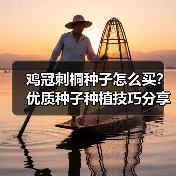 鸡冠刺桐种子怎么买?优质种子种植技巧分享(图2) 鸡冠刺桐种子怎么买?优质种子种植技巧分享(图2)