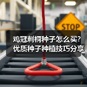 鸡冠刺桐种子怎么买?优质种子种植技巧分享(图3) 鸡冠刺桐种子怎么买?优质种子种植技巧分享(图3)