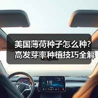 美国薄荷种子怎么种？高发芽率种植技巧全解析（图1）