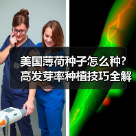 美国薄荷种子怎么种？高发芽率种植技巧全解析（图3）