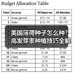 美国薄荷种子怎么种？高发芽率种植技巧全解析（图4）