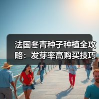 法国冬青种子种植全攻略：发芽率高购买技巧解析（图3）