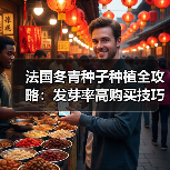 法国冬青种子种植全攻略：发芽率高购买技巧解析（图4）