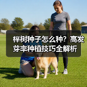 榉树种子怎么种？高发芽率种植技巧全解析（图3）