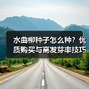 水曲柳种子怎么种？优质购买与高发芽率技巧（图2）