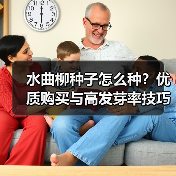 水曲柳种子怎么种？优质购买与高发芽率技巧（图1）