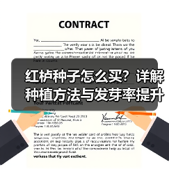 红栌种子怎么买？详解种植方法与发芽率提升技巧（图2）