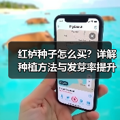 红栌种子怎么买？详解种植方法与发芽率提升技巧（图3）