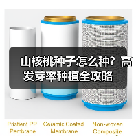山核桃种子怎么种？高发芽率种植全攻略（图3）