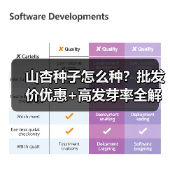 山杏种子怎么种？批发价优惠+高发芽率全解析（图2）