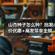 山杏种子怎么种？批发价优惠+高发芽率全解析（图3）