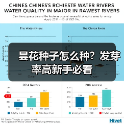昙花种子怎么种?发芽率高新手必看(图3) 昙花种子怎么种?发芽率高新手必看(图3)