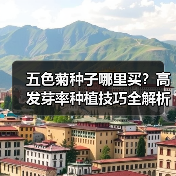 五色菊种子哪里买?高发芽率种植技巧全解析(图3) 五色菊种子哪里买?高发芽率种植技巧全解析(图3)