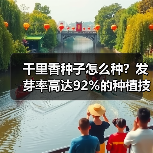 千里香种子怎么种？发芽率高达92%的种植技巧（图2）