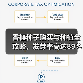 香榧种子购买与种植全攻略，发芽率高达89%（图3）
