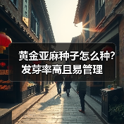 黄金亚麻种子怎么种?发芽率高且易管理(图2) 黄金亚麻种子怎么种?发芽率高且易管理(图2)