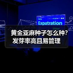 黄金亚麻种子怎么种?发芽率高且易管理(图3) 黄金亚麻种子怎么种?发芽率高且易管理(图3)
