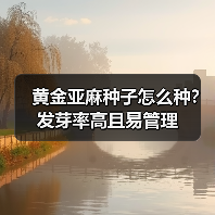 黄金亚麻种子怎么种?发芽率高且易管理(图4) 黄金亚麻种子怎么种?发芽率高且易管理(图4)