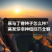 暴马丁香种子怎么种？高发芽率种植技巧全解析（图1）