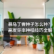 暴马丁香种子怎么种？高发芽率种植技巧全解析（图4）