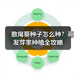 散尾葵种子怎么种？高发芽率种植全攻略（图4）