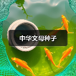 中华文母种子（图2）