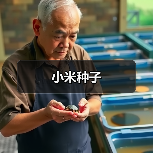 小米种子(图2) 小米种子(图2)