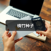 楠竹种子(图4) 楠竹种子(图4)