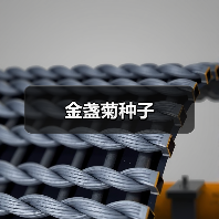 金盏菊种子(图2) 金盏菊种子(图2)