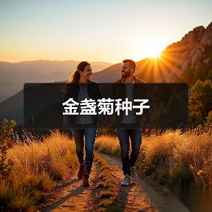 金盏菊种子(图3) 金盏菊种子(图3)