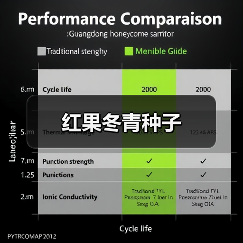 红果冬青种子（图2）