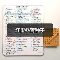 红果冬青种子（图3）