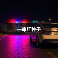 一串红种子（图2）