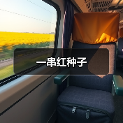 一串红种子（图4）