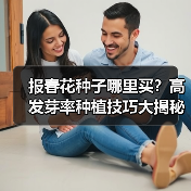 报春花种子哪里买？高发芽率种植技巧大揭秘（图1）