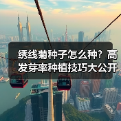 绣线菊种子怎么种？高发芽率种植技巧大公开（图2）