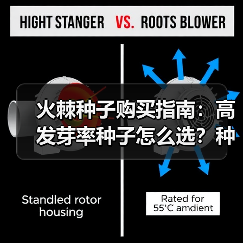 火棘种子购买指南：高发芽率种子怎么选？种植技巧全解析（图2）