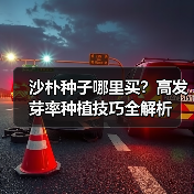沙朴种子哪里买？高发芽率种植技巧全解析（图1）