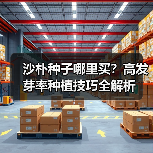 沙朴种子哪里买？高发芽率种植技巧全解析（图2）