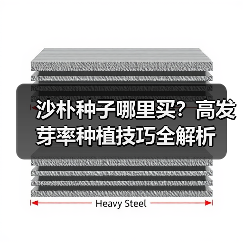 沙朴种子哪里买？高发芽率种植技巧全解析（图3）